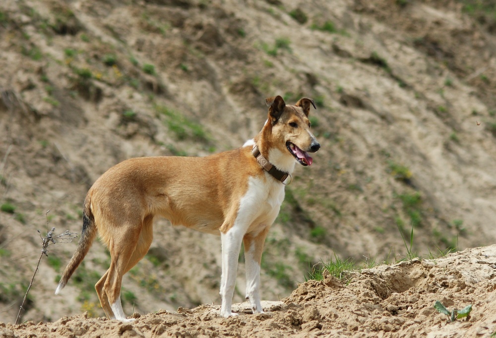 Просто рядовое фото с нашей ежедневной прогулки :)
