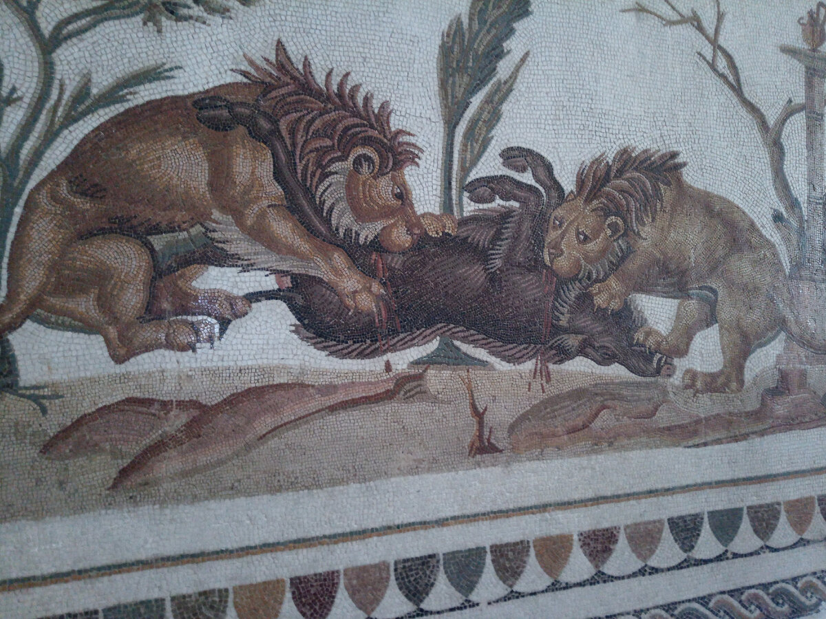 Фото из личного архива