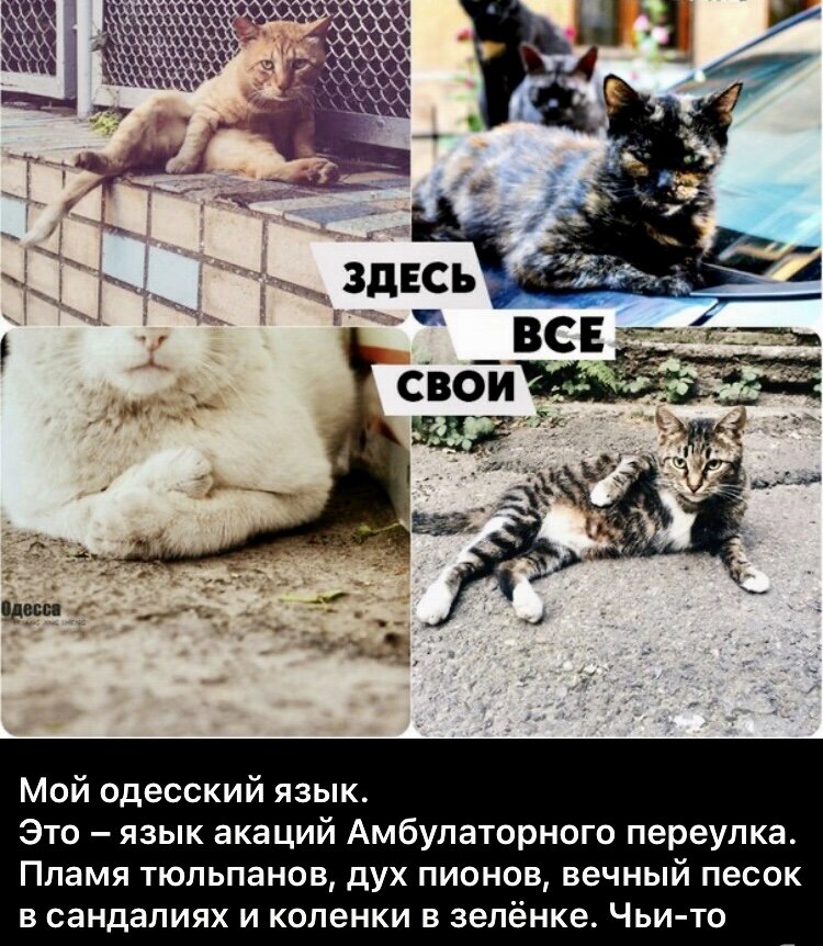 Все фото в открытом доступе