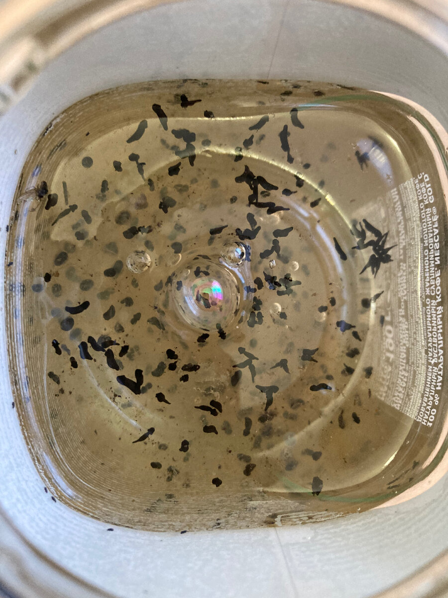 Что то непонятное но невероятно интересное