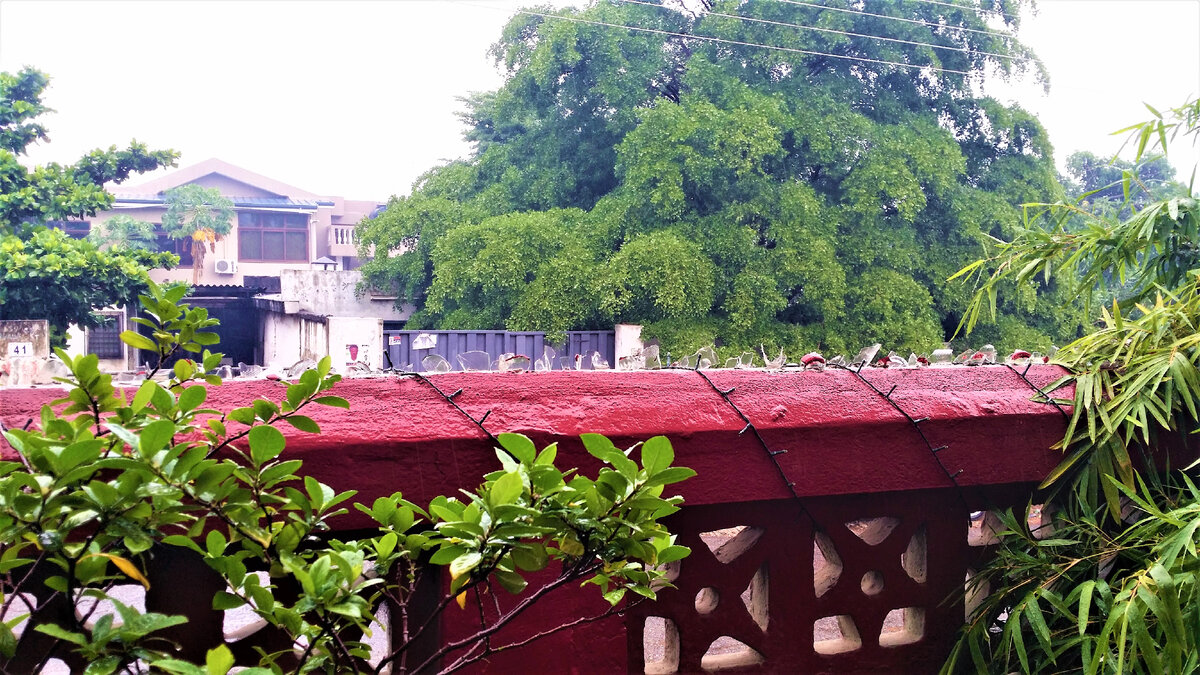 Битое стекло на ограде в целях безопасности. Отель "Сонный гиппопотам", Аккра, Гана.