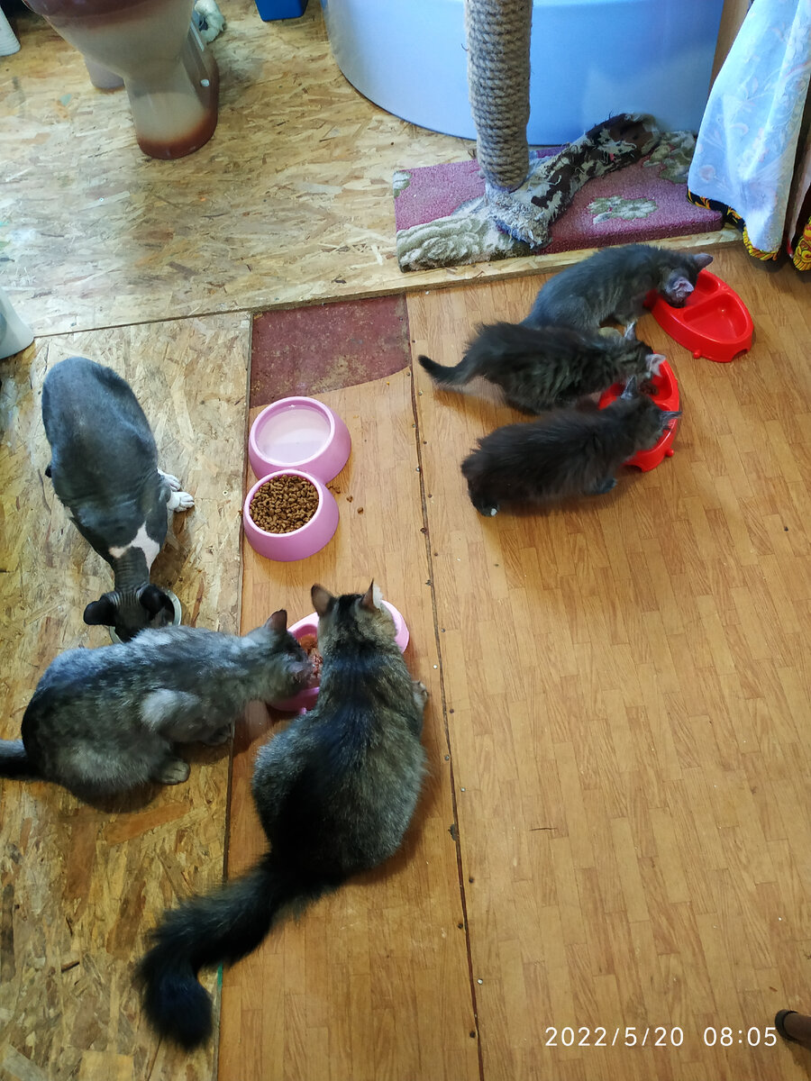 Второй завтрак) Первый завтрак обычно в пять утра)