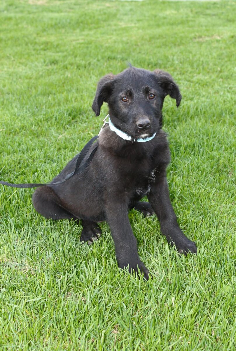 Второй мальчик