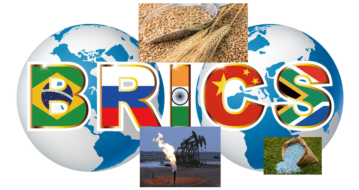 Страны БРИКС крупнейшие поставщики важных ресурсов. Источник: Яндекс.Картинки