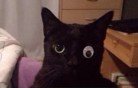 Одноглазый Удивил всех!