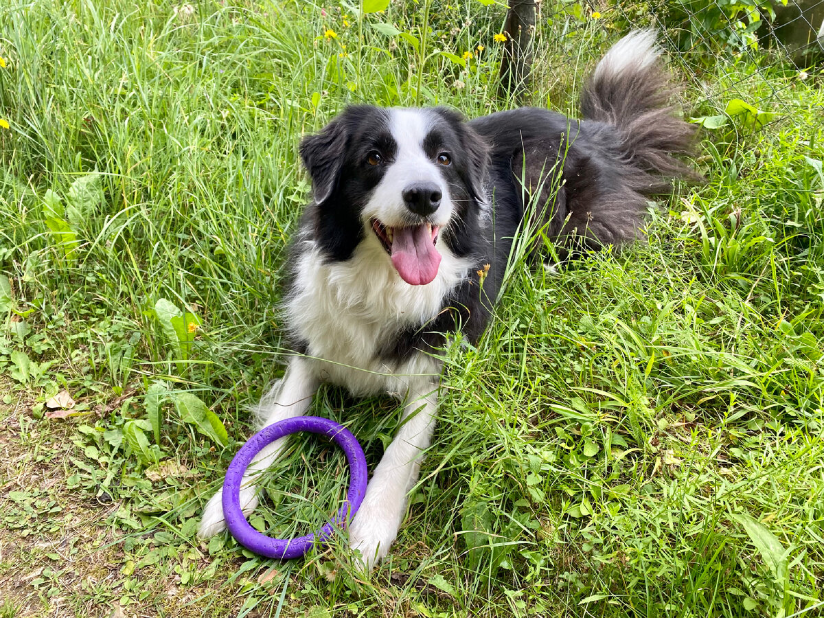 Довольная Баста с пулером