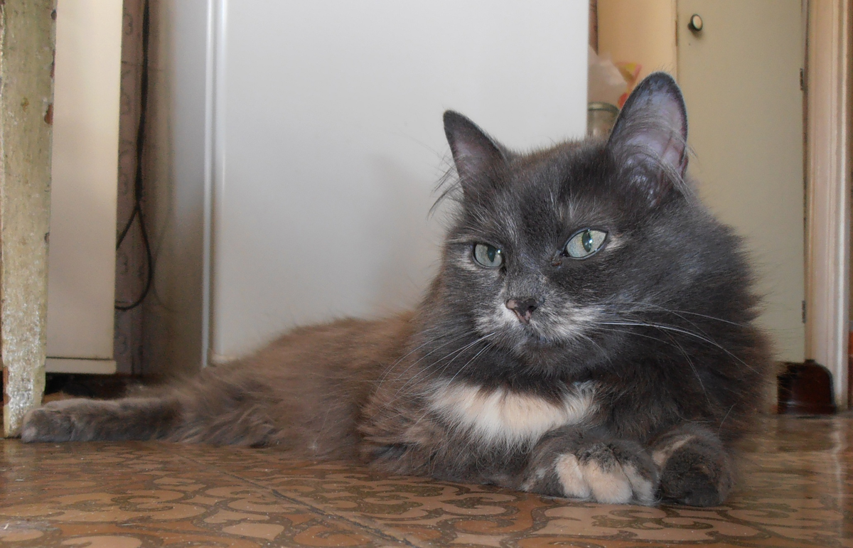 Фрося, фото автора