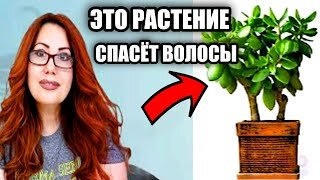 Бесплатно! Это есть у всех! Мощное средство от облысения! Быстрый рост густых волос!