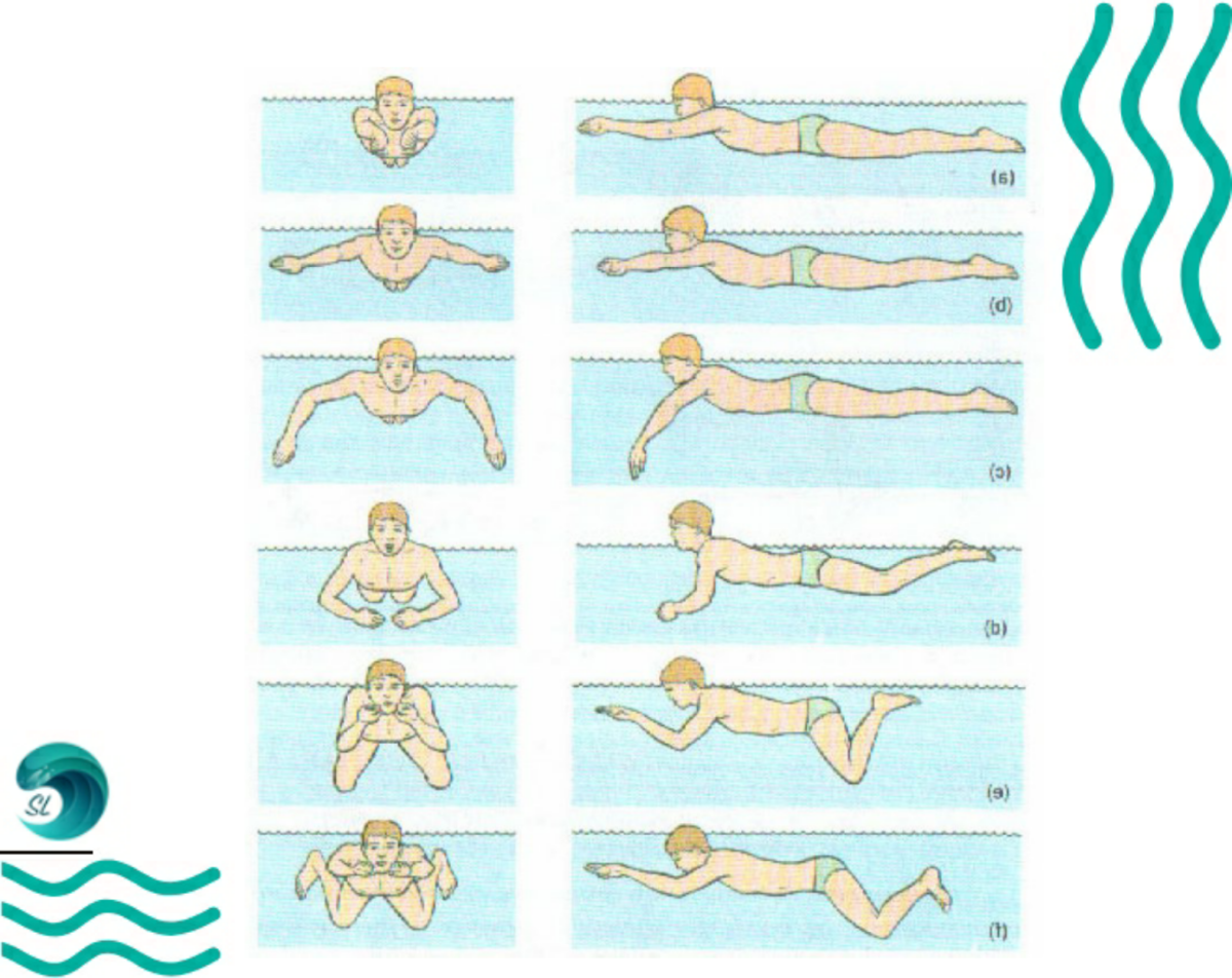 Как правильно плавать под водой. Брасс стиль плавания брасс. Стили плавания в бассейне брасс. Брасс вид плавание техника. Техника плавания брассом.