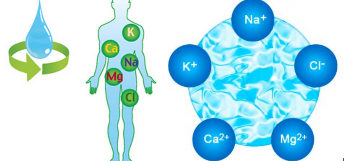 Ионы кальция и магния в воде. Водно-солевой баланс в организме. Нарушение водно-солевого баланса. Электролиты в организме человека. Водно-солевой обмен в организме человека.