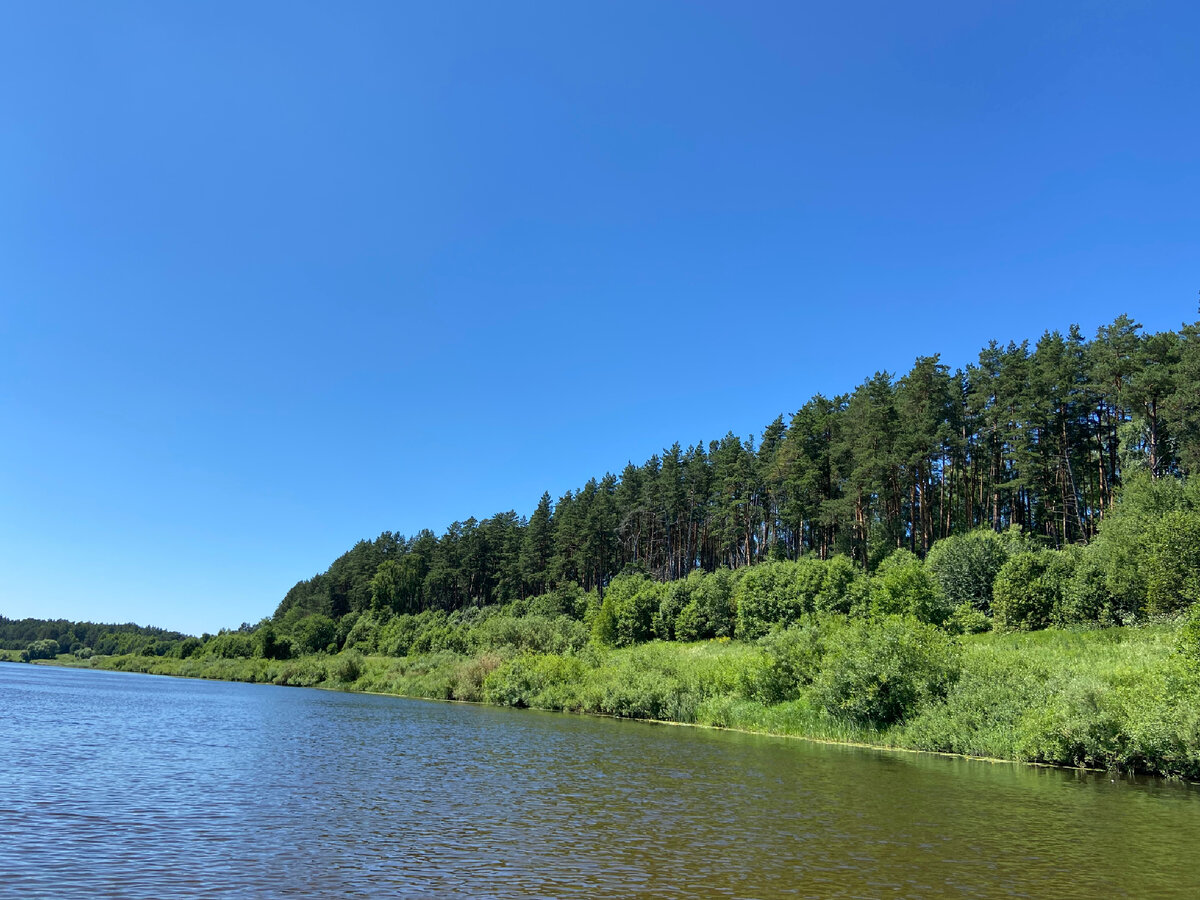 Отчет о рыбалке на реке Угра🌲⛺️🏖🎣 | Kasatkin TV - Рыбалка и Охота | Дзен