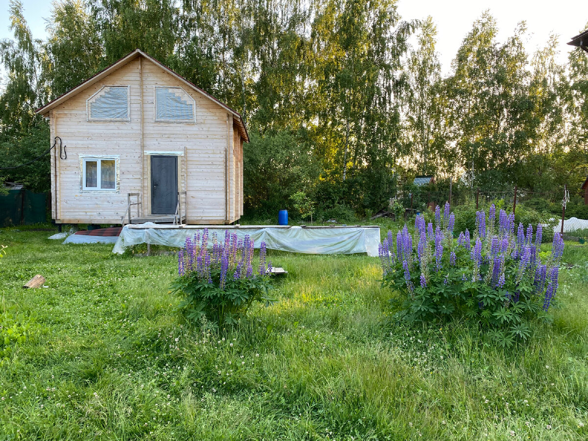 Покраска дома из минибруса — чем и как красили. Сколько стоила краска на  двухэтажный дом 6х6 | 6 соток зелёных просторов | Дзен