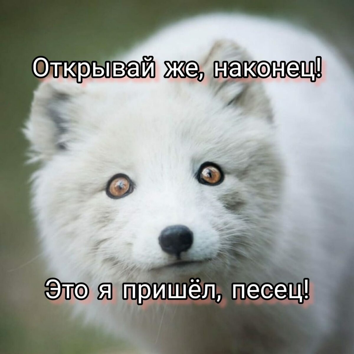 Коллаж автора