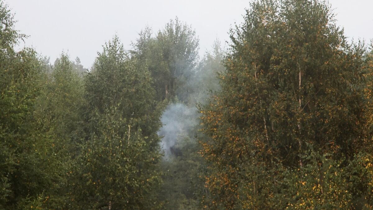    Дым от природного пожара в Рязанской области© РИА Новости / Виталий Белоусов