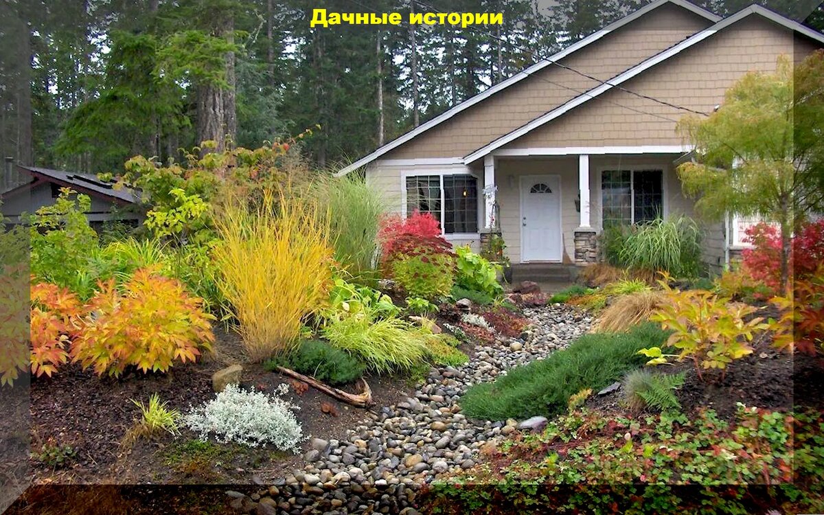 https://vk.com/photo-159774511_457255617