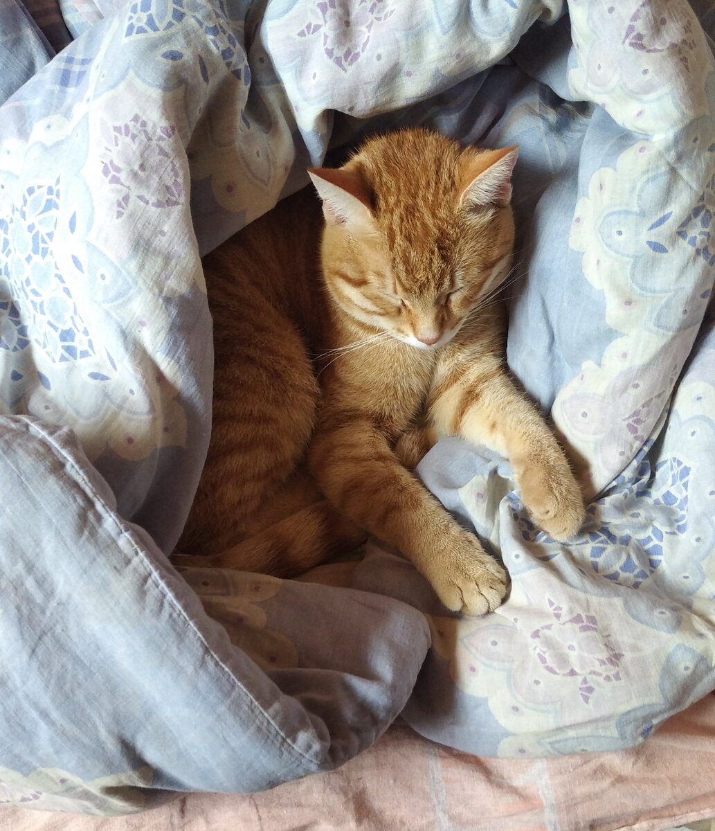 Личное  фото.  