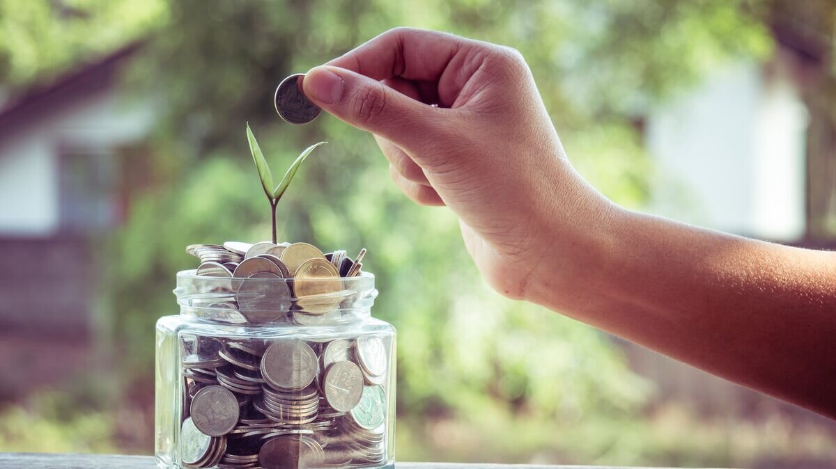    Сбережения© Fotolia / tuk69tuk