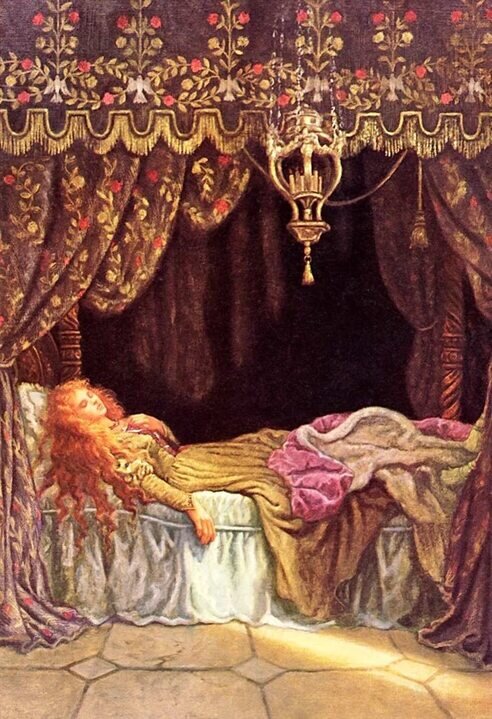 Фото взято из интернета 