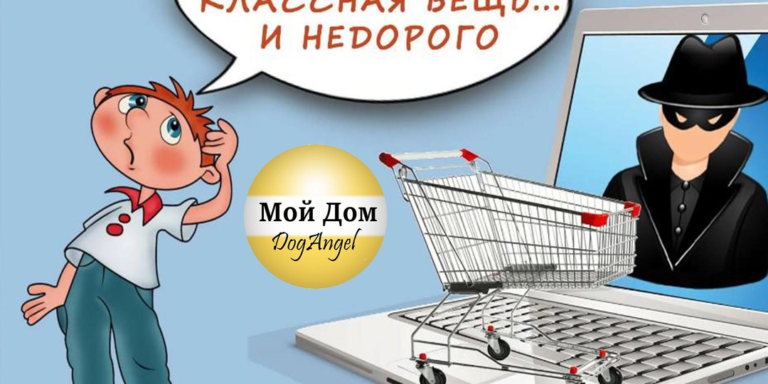 Про мои удачные покупки на ВБ и про мошенников