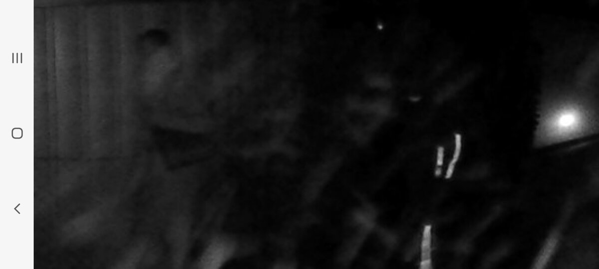 Реальное мое фото с реальным существом из потустороннего мира. Смотреть в темноте...так лучше видно!