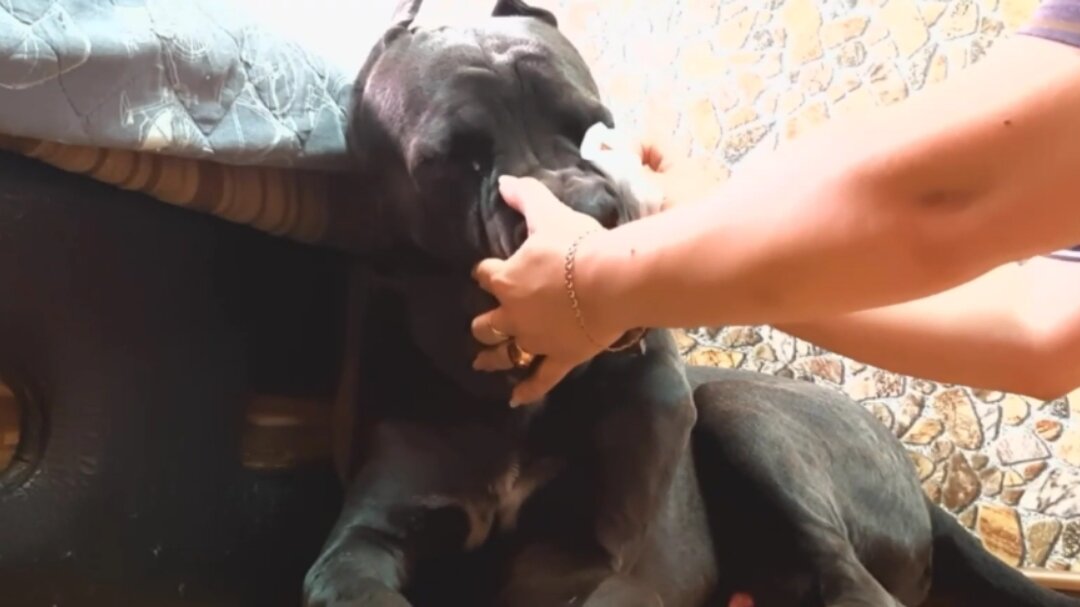 Вытираем глазки.