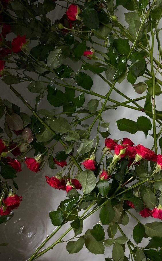 Картинка взята из Пинтереста и находится в открытом доступе.