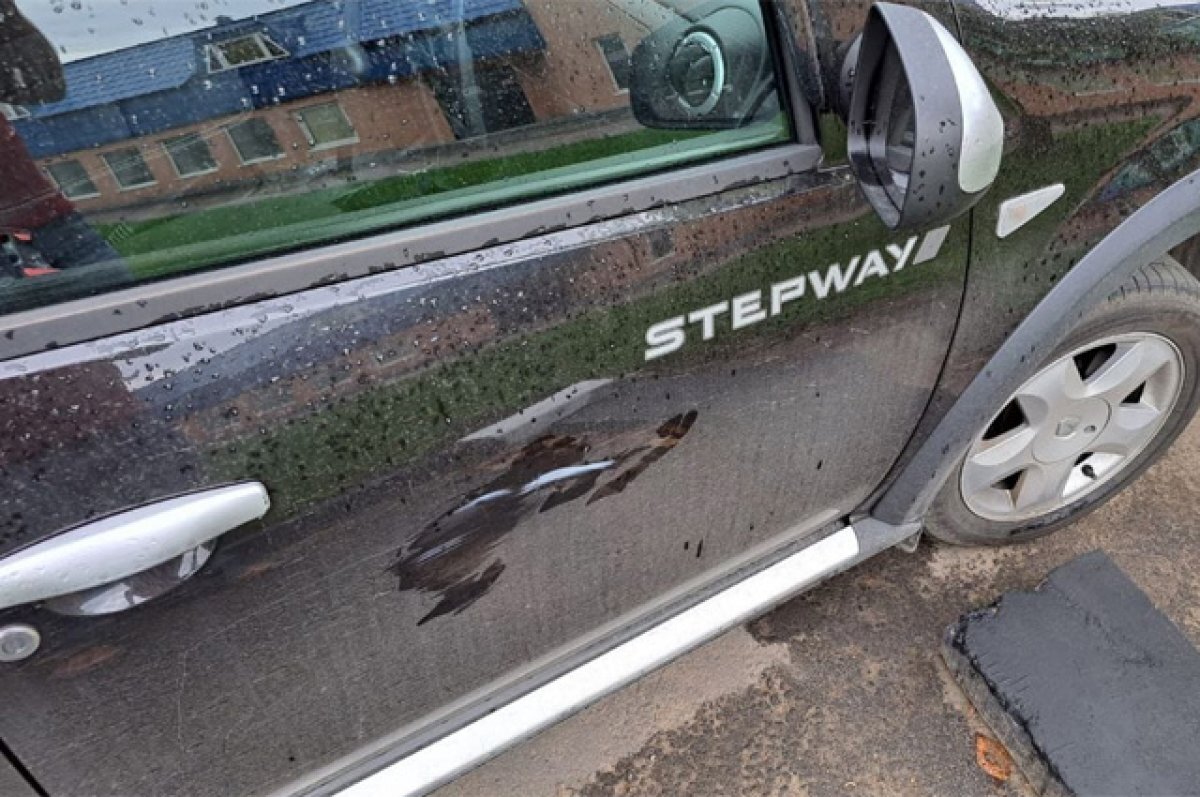    «Там псих с пистолетом бегает!»