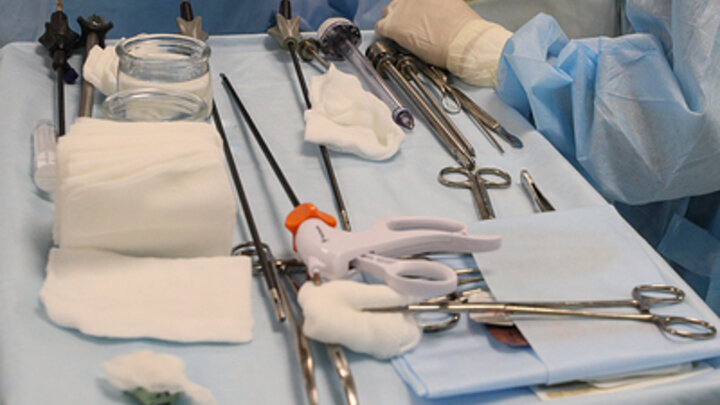 © BULKIN SERGEY /NEWS.RU/GLOBALLOOKPRESS