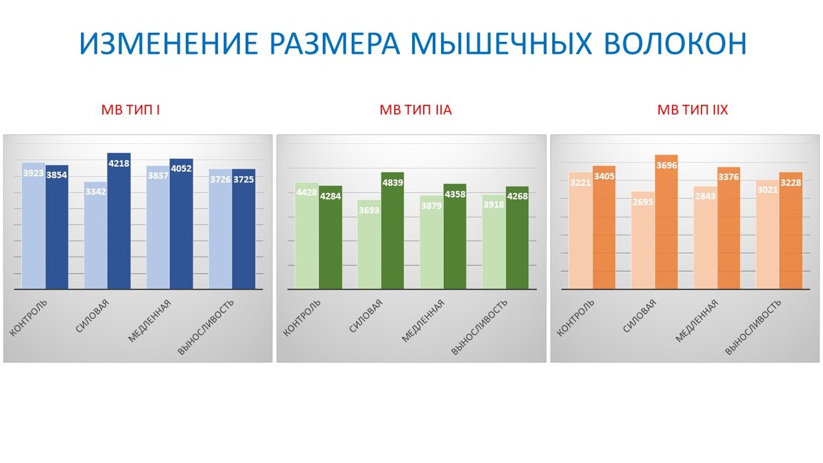 Рисунок 1. Изменение площади поперечного сечения мышечных волокон разного типа для четырех групп.