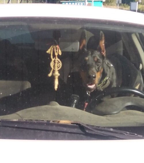 Фото автора