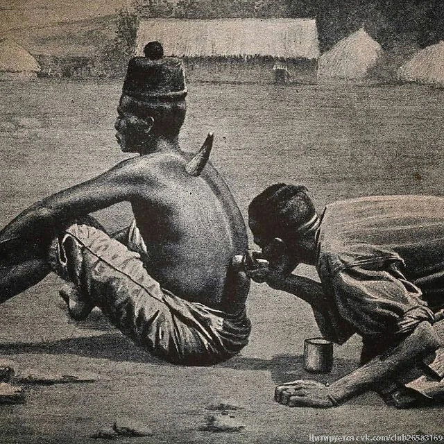 Не только эффективно, но и стильно!