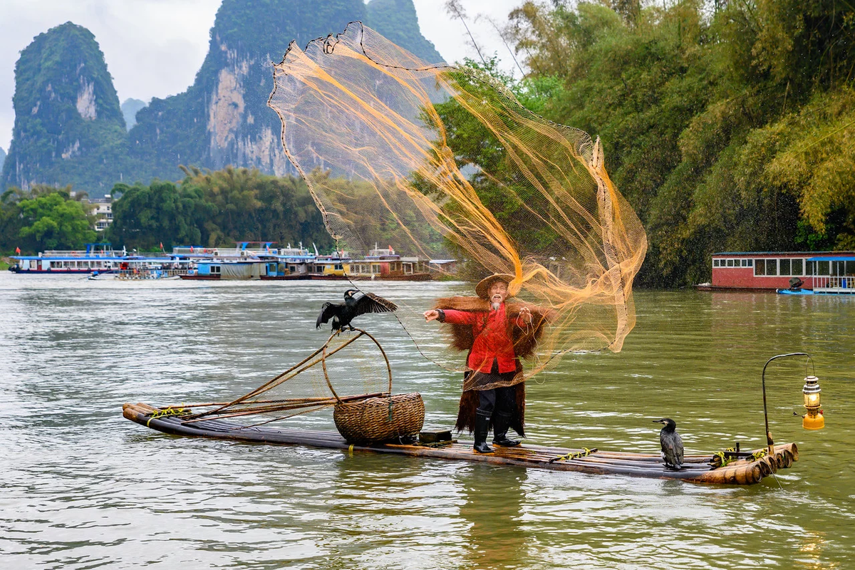рыбалка с бакланами в китае