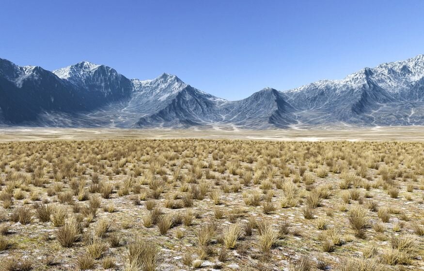    Как ИИ помогает в борьбе с опустыниванием