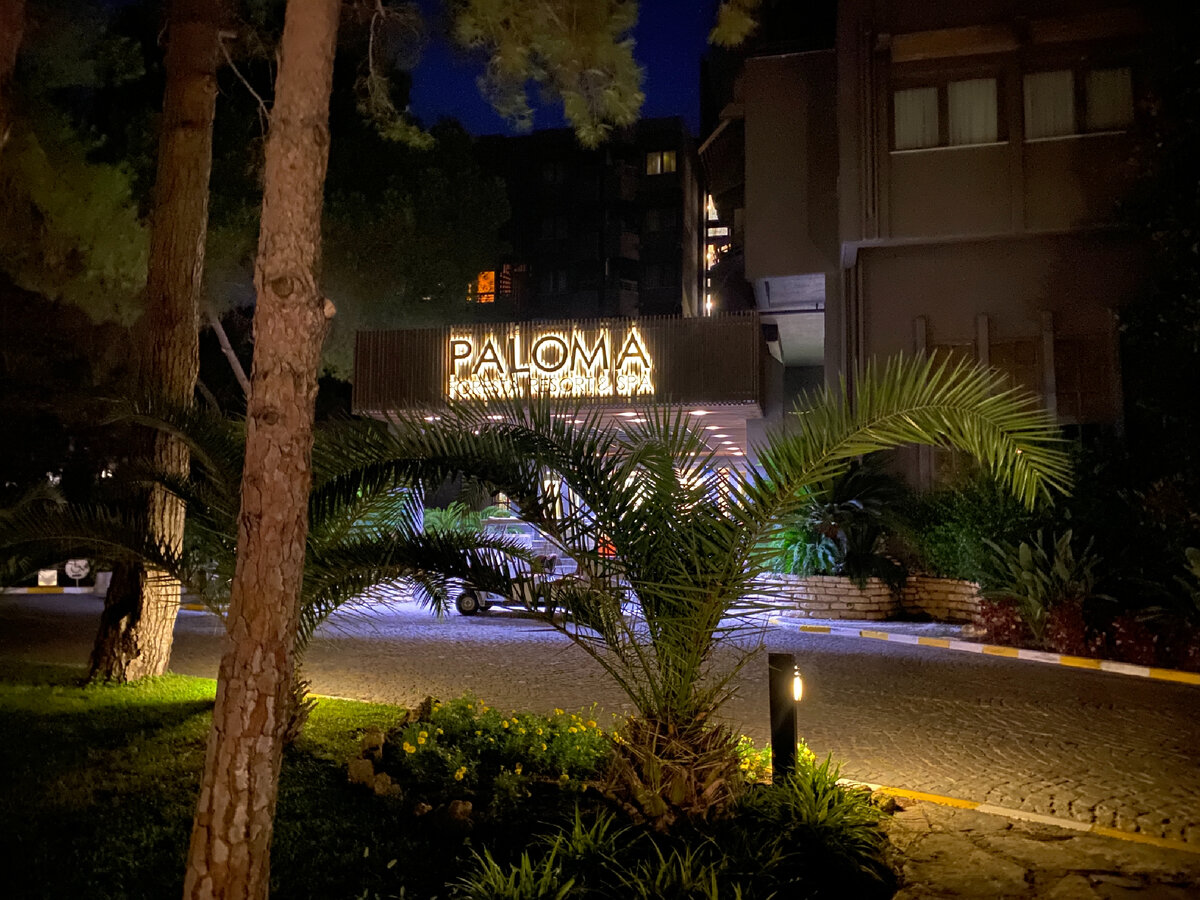 Фото автора. Все утопает в зелени. Люблю жить в лесу ))