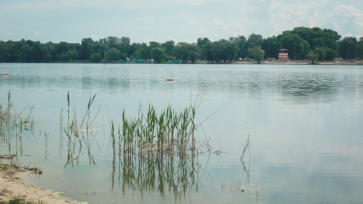     Утром специалист «Маглипогоды» зафиксировал подъем уровня воды на реке Уссури. Неизвестно, придут ли в регион паводки, но небольшие подтопления возможны.