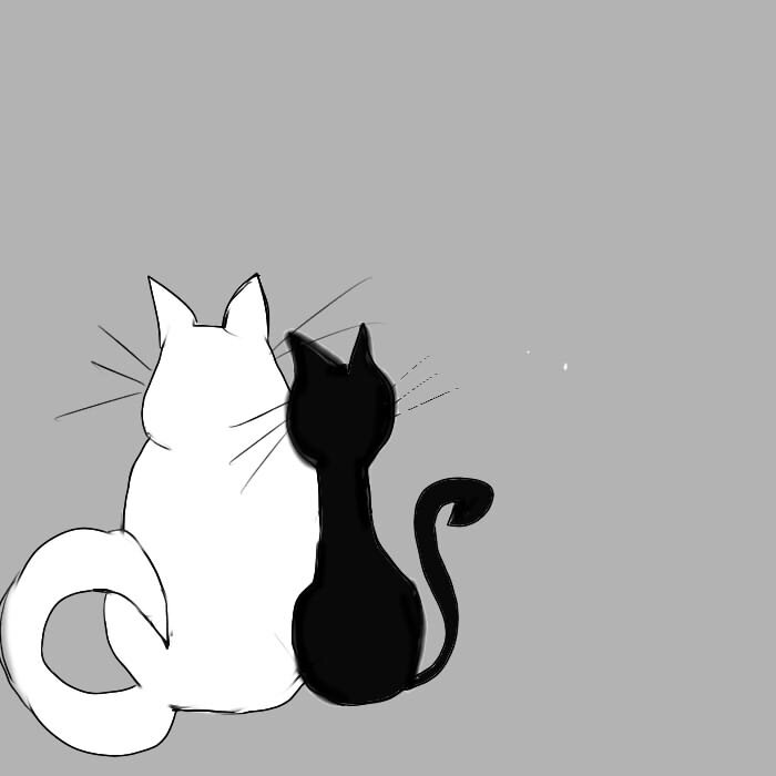 Скизи кот. Кот скизи. Скизи. Скизи кот истории. Рисунок 1 класс кот и аквариум окружающий мир.