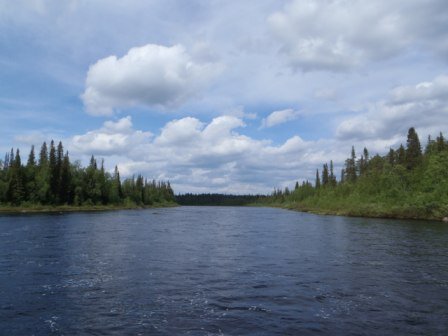 Варзуга берет начало не из озера, а в болотистой местности. На реке и ее притоках мало озер-аккумуляторов, поэтому перепады воды в зависимости от погоды весьма значительны. Питание реки – преимущественно снеговое и дождевое, так что летом уровень воды меняется – от высокого в июне до крайне низкого в августе. Случается в засуху практически по всей реке можно ходить пешком по колено. Если воды мало – она прозрачная, если много, становится темной.