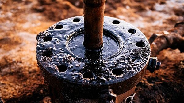 В настоящий момент Гронингенский бассейн разрабатывают несколько международных компаний, это в первую очередь NAM, которая входит в состав Royal Dutch Shell, а также американская ExxonMobile. Инфраструктура включает в себя 22 добычных участка, где расположены 258 скважин. Здесь же находятся 20 газоочистных и подготовительных станций, а также пара десятков контрольных скважин. Богатое и технически сложное хозяйство, которое создавалось десятилетиями упорного труда.Что касается объемов, то они весьма наглядны: январь 2014-го — 42 миллиарда кубометров, декабрь 2014-го — 39 миллиардов, февраль 2015-го — 16,5 миллиарда, апрель 2015-го – полностью прекращена добыча на участке Loppersum. К июню этого же года голландцы добыли 13 миллиардов кубометров, к ноябрю — 27, а еще через полгода добыча опять упала до 24 и больше уже не росла. Shell пыталась найти новые, ранее неизвестные залежи и даже организовала масштабную разведочную партию, которая заняла два года и съела три миллиарда евро. Новые месторождения обнаружены не были.Вернемся к отчету GasTerra. Еще осенью прошлого года правительство Нидерландов резко ужесточило нормы добычи газа. Судите сами: 21 миллиард кубометров в 2018 году, 19 — в текущем, к 2022-му объемы снизятся до 12 миллиардов, а к 2030 году добыча газа на Гронингене будет полностью прекращена. В прошлом году Нидерланды впервые с 1963-го импортировали газа больше, чем добыли сами, причем две трети газа были ввезены из Норвегии и России. Естественно, что даже при самом благоприятном развитии событий дисбаланс собственного производства и импорта будет все нарастать — потому что промышленности и жителям требуются электричество, тепло и еще целая куча полезных вещей, которые современная химическая промышленность добывает из газа.18 февраля, 08:00Абсолютный лидер: Россия захватит рынок экспорта нефти и газаНаш рассказ был бы неполным, если бы мы не пояснили, что газ из Нидерландов поставлялся не только потребителям внутри страны, но он также шел на импорт в Германию, Бельгию и северные регионы Франции. С выпадением Гронингена у всех этих потребителей возникает дефицит энергоносителей, заменить его будет довольно непросто. Дело в том, что газ этот имел строго определенные характеристики — содержание азота в нем доходило до 14% и в целом он обладал более низкой калорийностью даже по сравнению с другими газовыми месторождениями Нидерландов. Все принимающие объекты строились именно с учетом данных параметров, то есть теперь немцам, бельгийцам и французам нужно безотлагательно переоборудовать свои электростанции, чтобы они смогли переваривать, например, норвежский продукт.Думаем, что все описанное выше давно известно топовым чиновникам Евросоюза и именно отсюда растет страстное нежелание отдельных стран идти на поводу у требований Вашингтона и отказываться от русского газа и "Северного потока — 2". Кстати, за прошлый год через "Северный поток — 1" при номинальной мощности в 55 миллиардов кубометров в Европу прокачали 57. Поразительное совпадение, не находите?
 