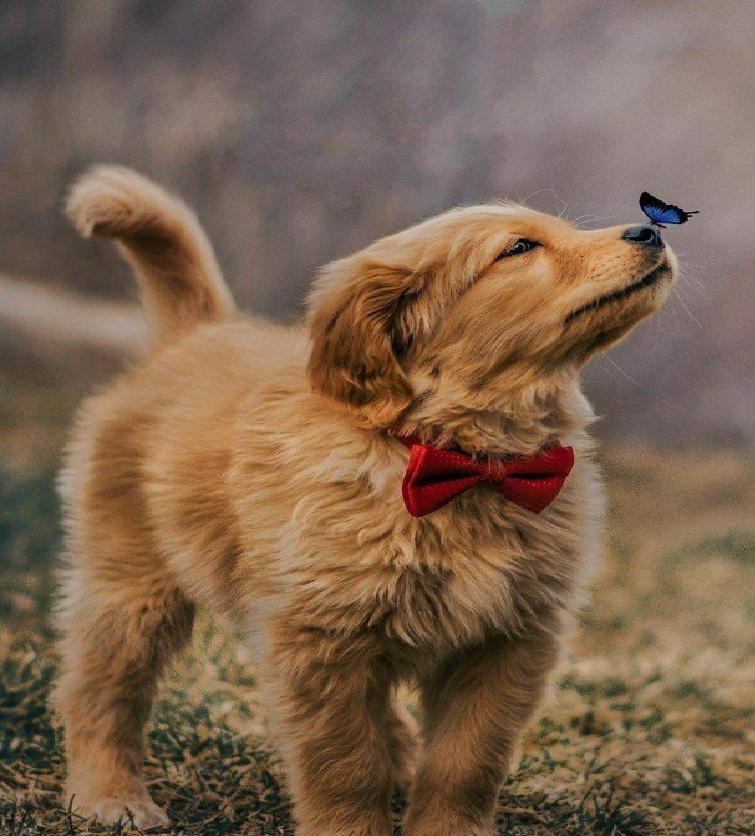 Подпишитесь на канал и поставьте лайк! Тем самым вы поможете каналу развиваться! Заранее спасибо!