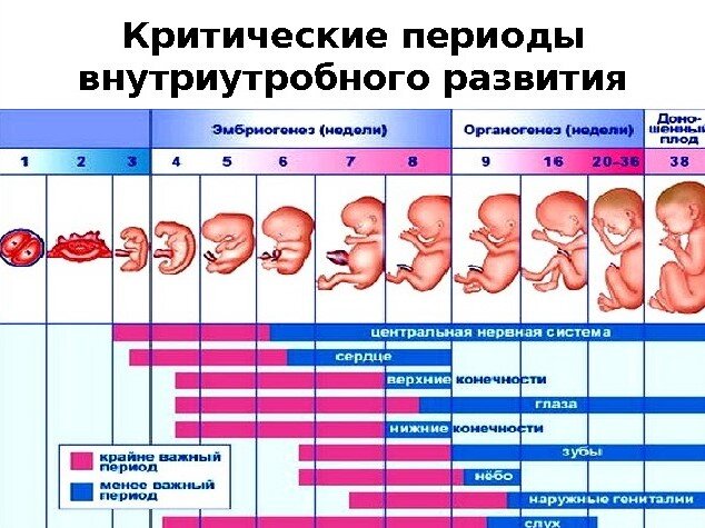 Кожный кольпопоэз при атрезии влагалища после лучевой терапии