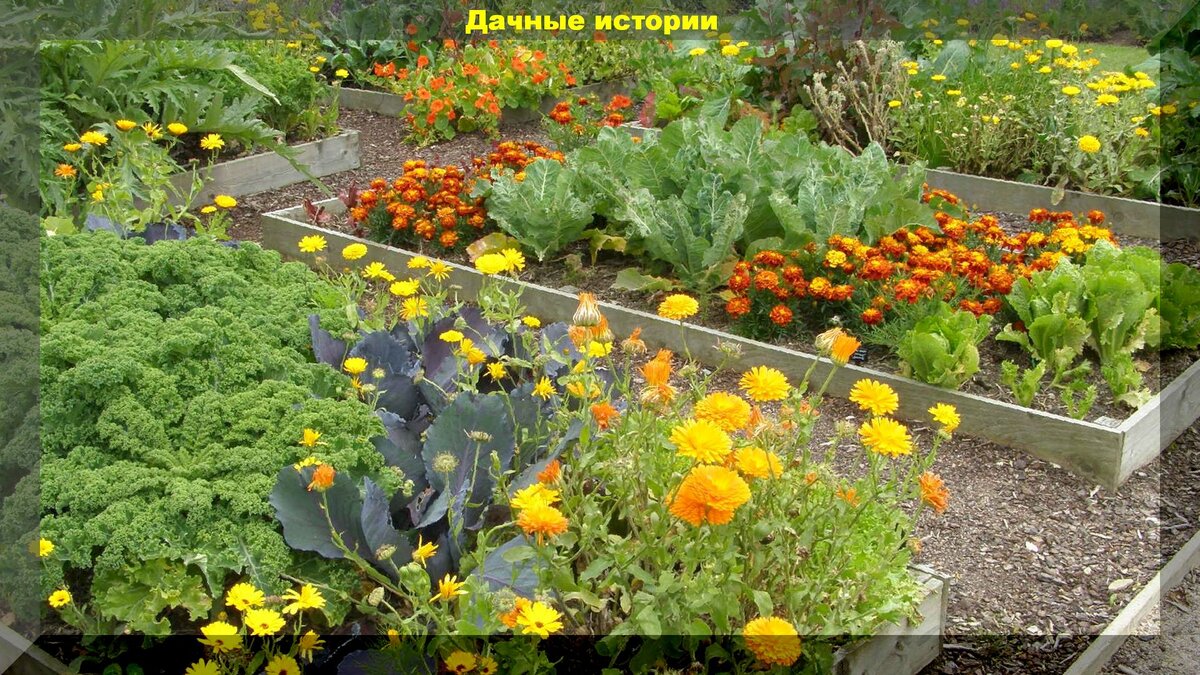 https://vk.com/photo-159774511_456241527