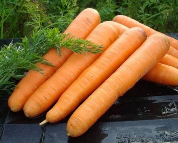 фото из открытых источников, для иллюстрации