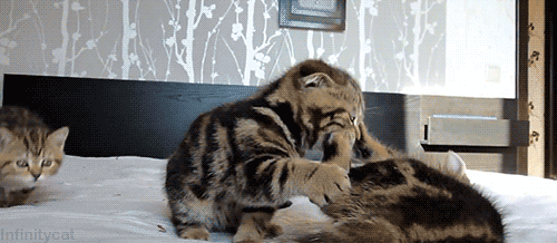 Поиграть не просто хочется, но это необходимость жизненная.