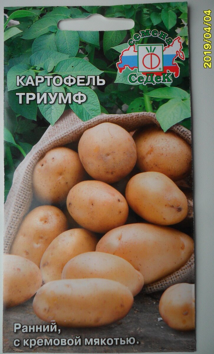 Семена картофель Триумф СЕДЕК