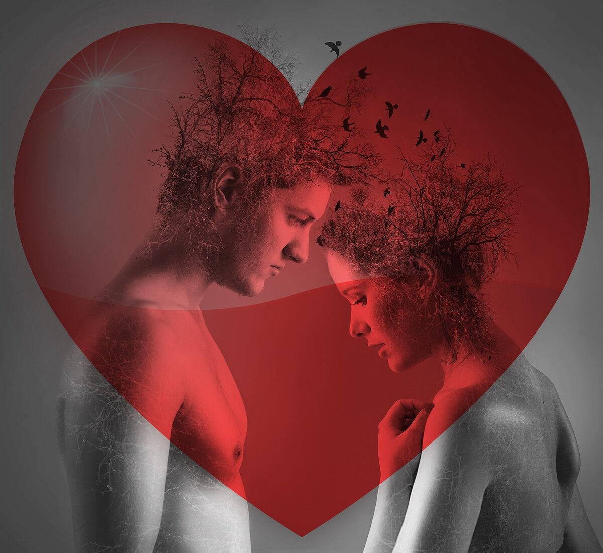 Изображение Виктория Бородинова с сайта Pixabay 