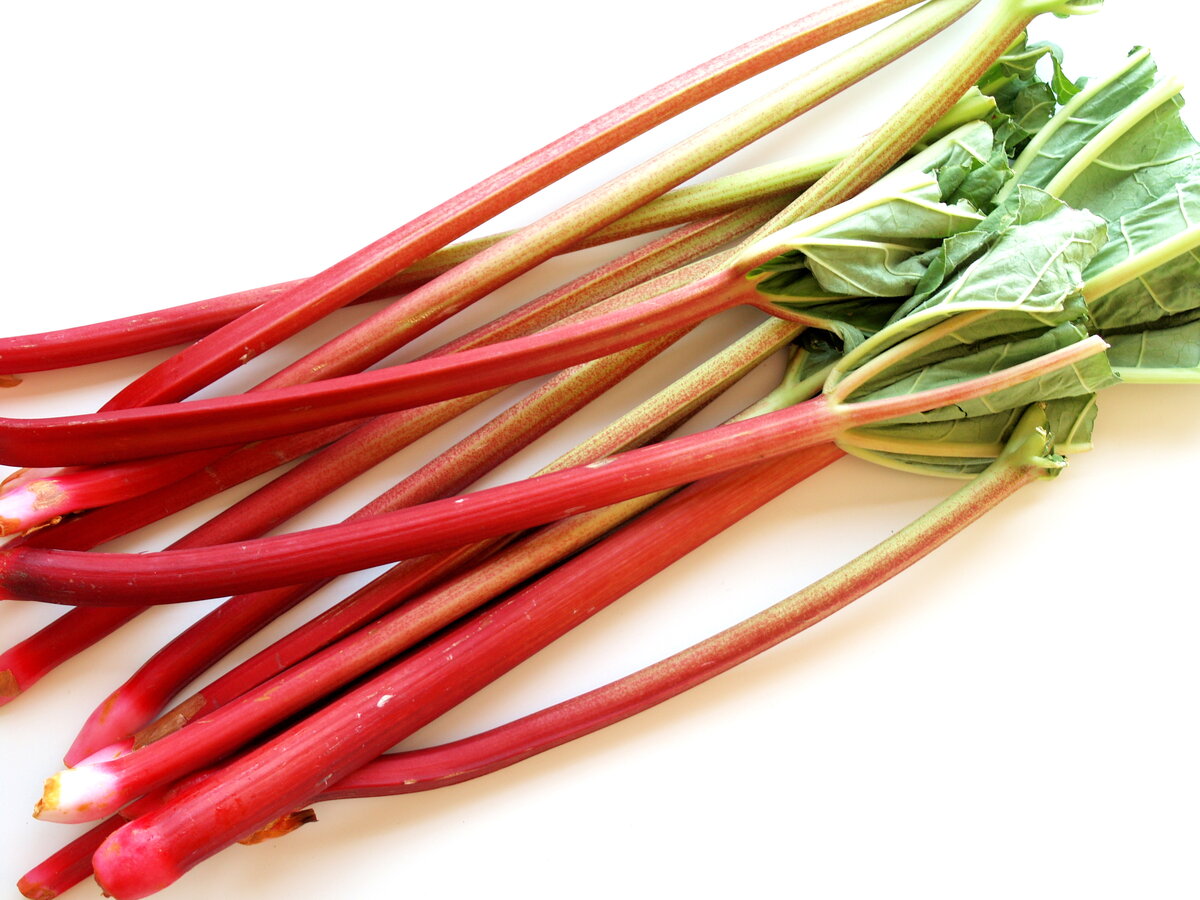 При выборе ревеня обращайте внимание на то, чтобы стебли были красные, такой ревень будет нести наибольшую пользу для организма.