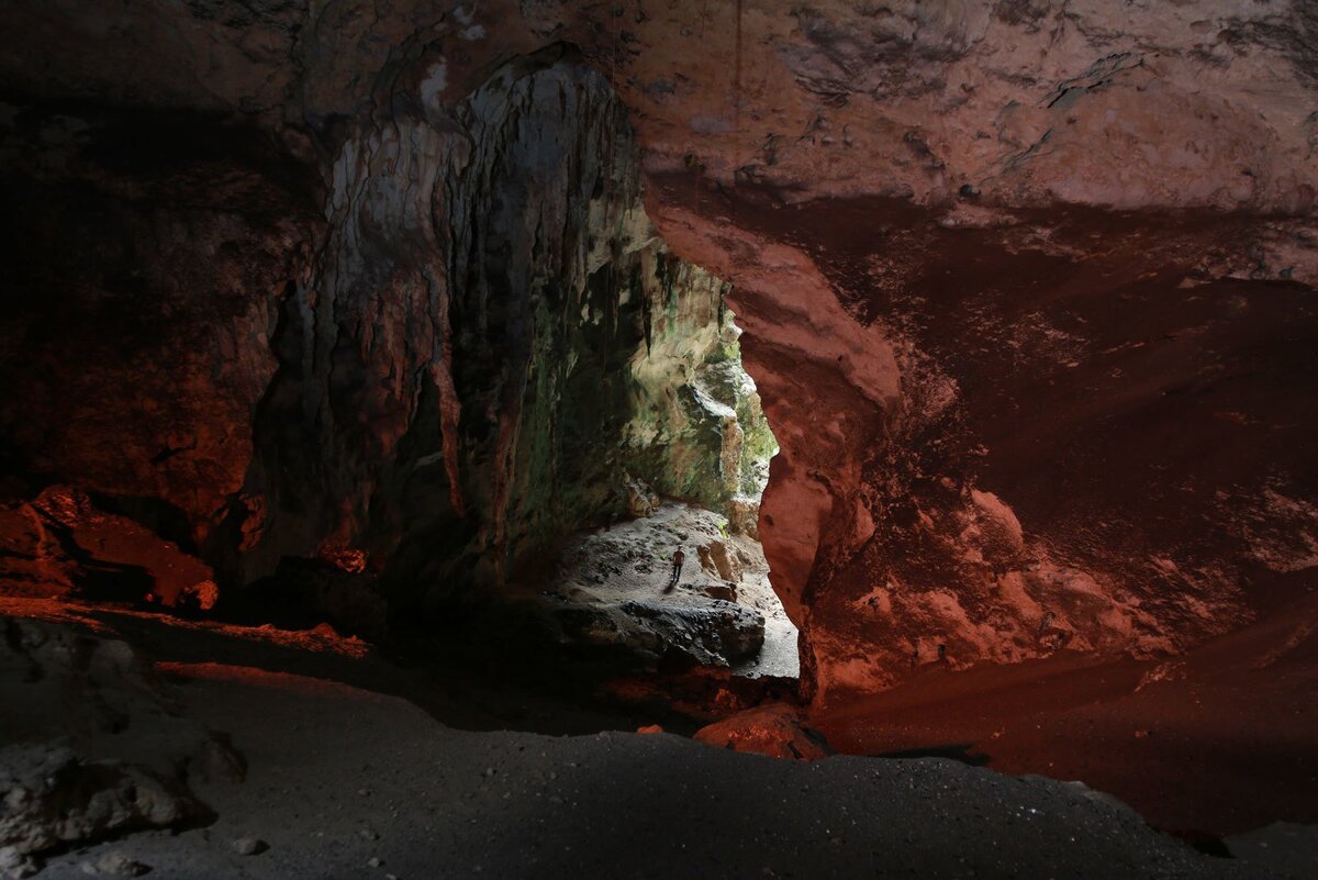 Allora & Calzadilla. Пуэрториканский свет. 2015,  Фото: Мирица Кастильо