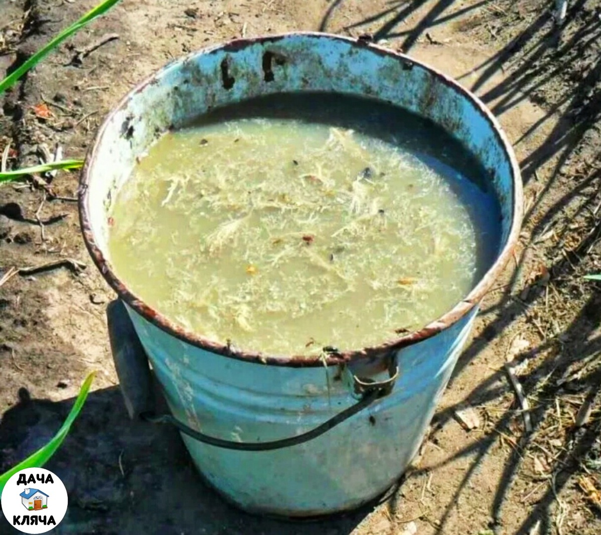 10-ти литровое ведро воды с литром коровяка.