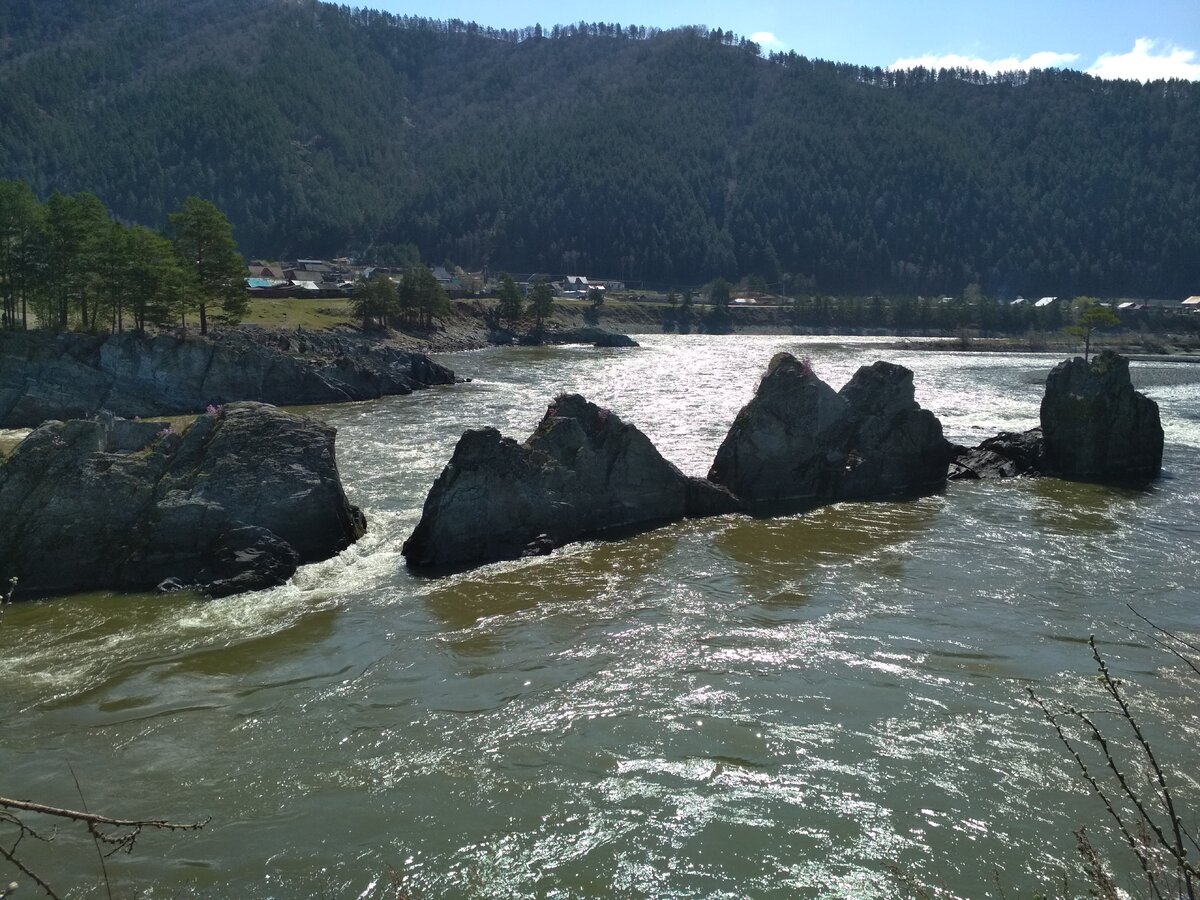 Зубы дракона