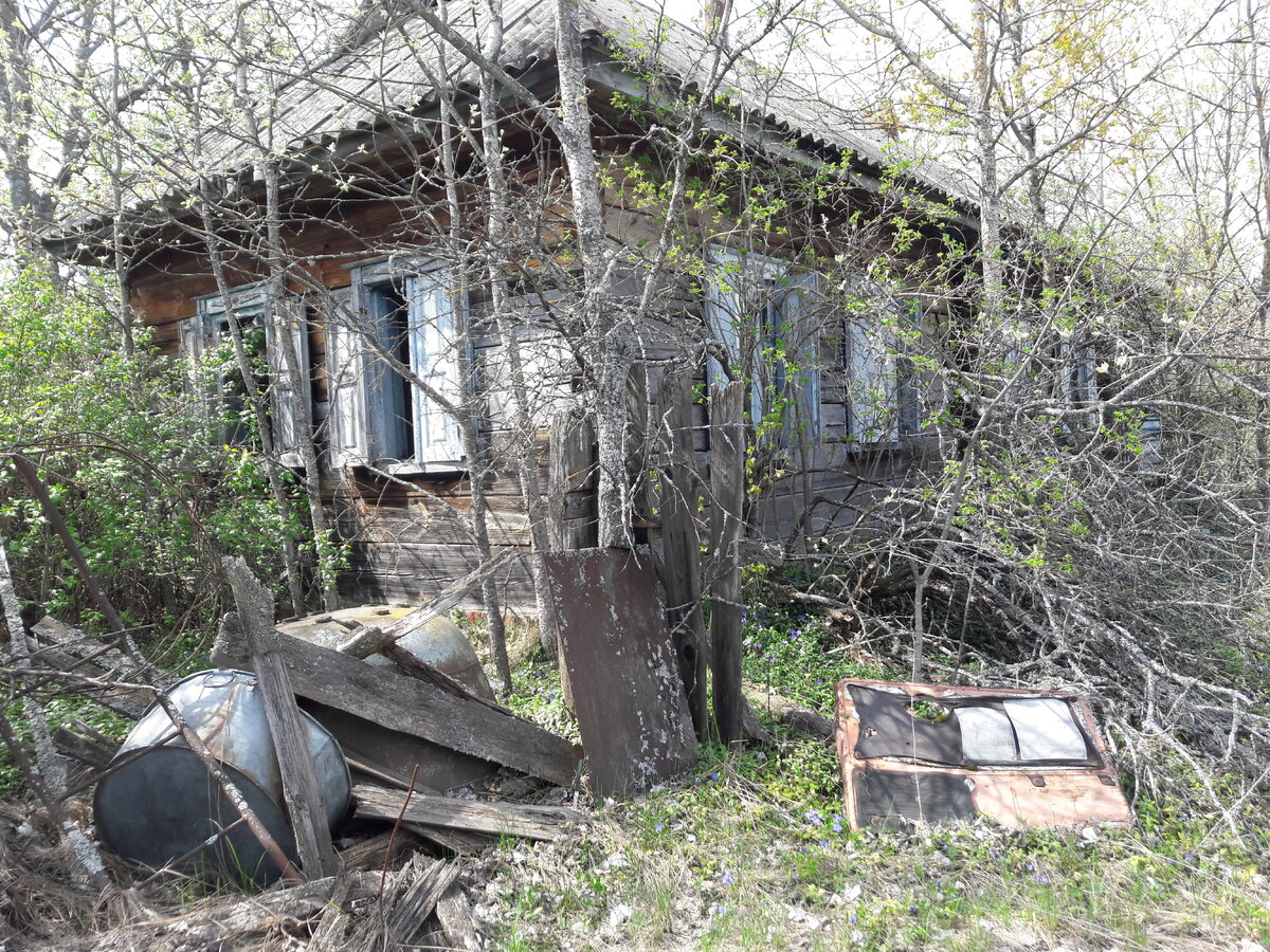 Нашли старую деревню в глубинах Чернобыльской зоны, где редко бывают люди |  Исследователь Войтек | Дзен